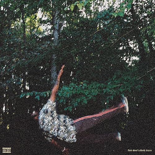 Album cover: person lying in foliage with a fish, dark and textured.