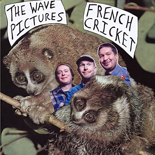 Album cover for The Wave Pictures’ “French Cricket” featuring a sloth and people.