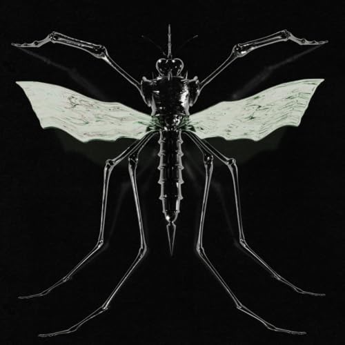 Dark, skeletal mosquito with translucent wings against a black background.