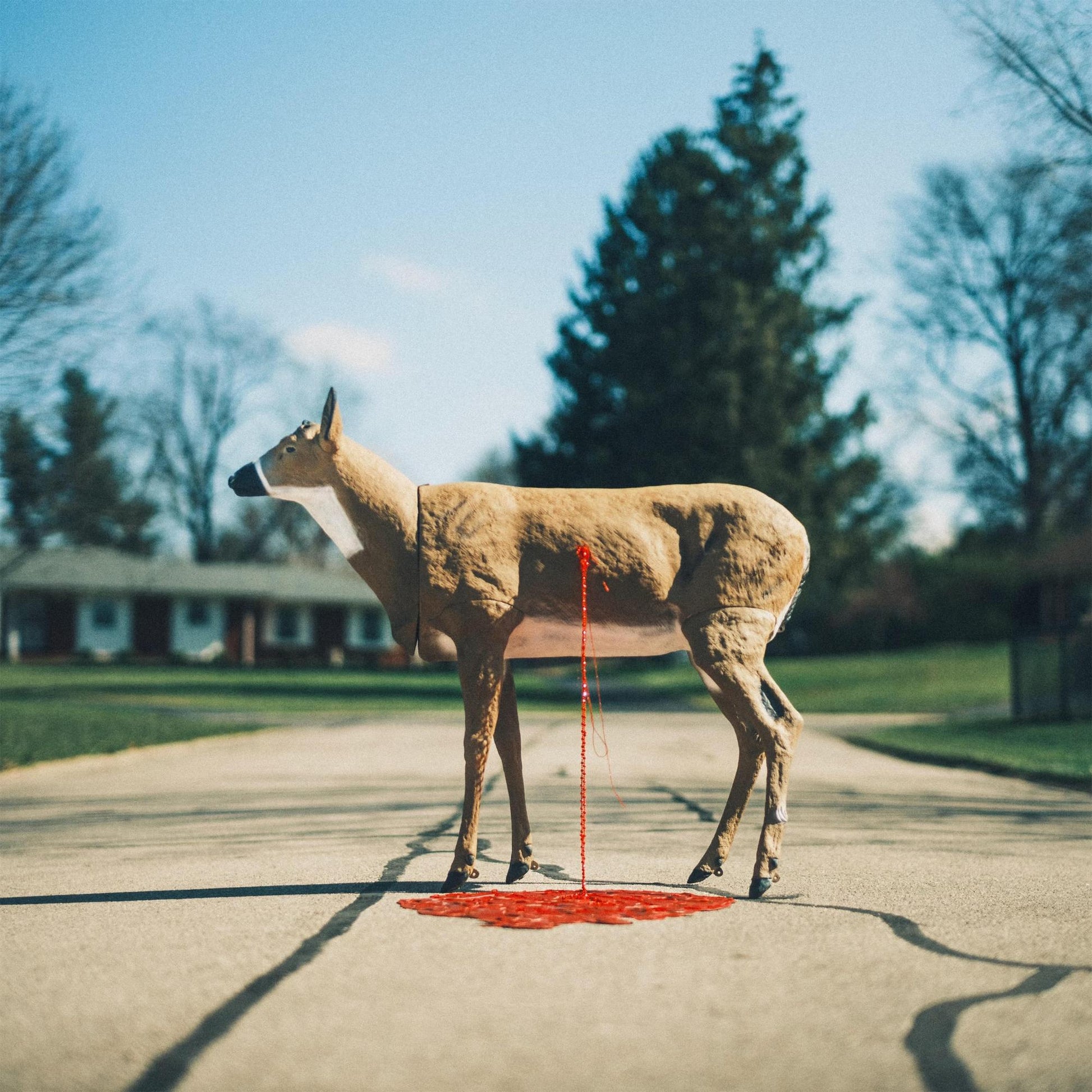 Deer statue with red liquid dripping onto a suburban street.