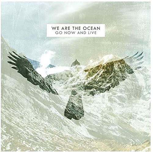 Album cover: "We Are The Ocean" with a bird silhouette over mountains.