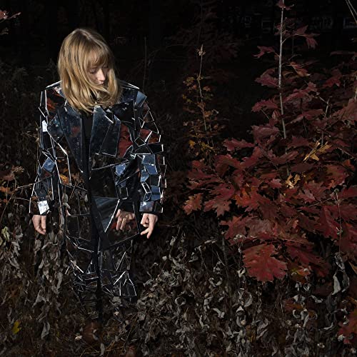Person in a mirrored garment stands among autumn foliage.