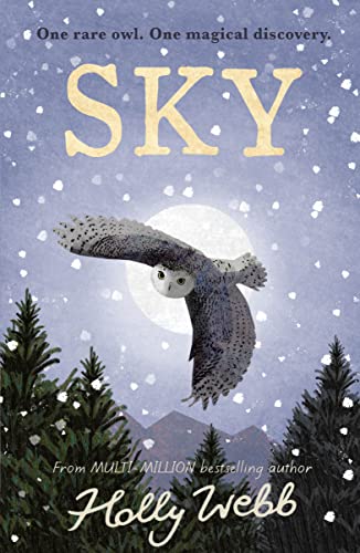 Book cover with illustration of a snowy owl in flight before a full moon.