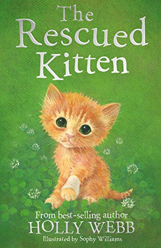 Book cover featuring an orange kitten with a bandaged paw.