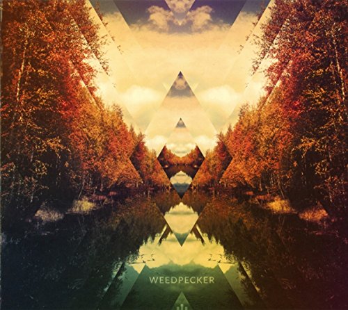 CD cover with mirrored trees and geometric shapes in warm tones.