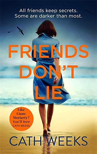 Book cover: woman walking on beach, large orange text “Friends Don’t Lie”.