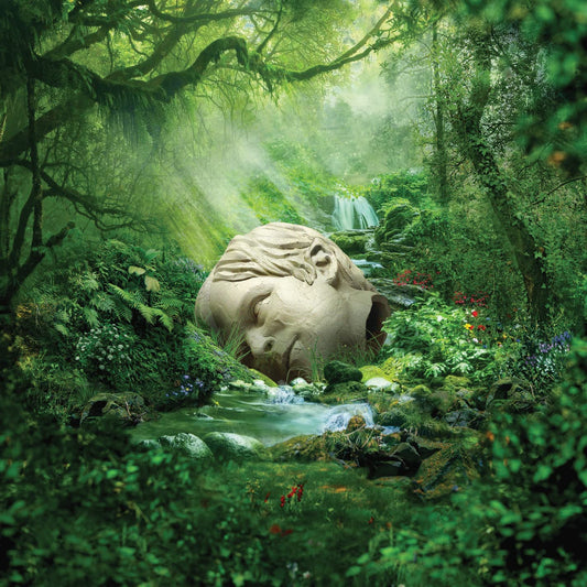 A CD cover featuring a serene forest scene with a large, wrapped object.