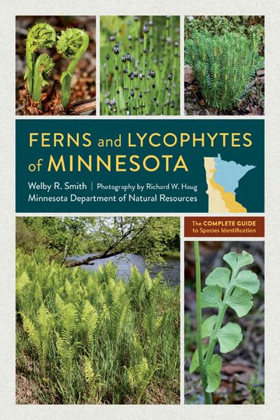 Book cover featuring ferns and lycophytes of Minnesota with plant images.