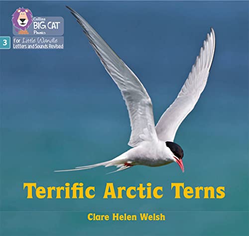 Book cover featuring an Arctic tern in flight, blue background.