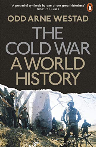 Book cover of "The Cold War: A World History" with soldiers in a war scene.