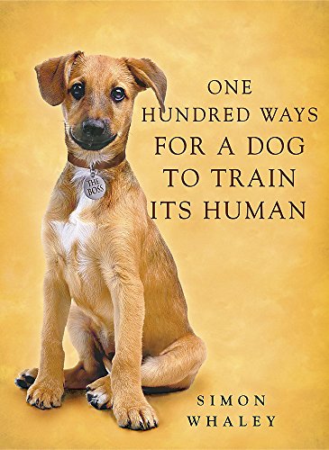 A brown puppy wearing a collar tag that says The Boss on a yellow background.