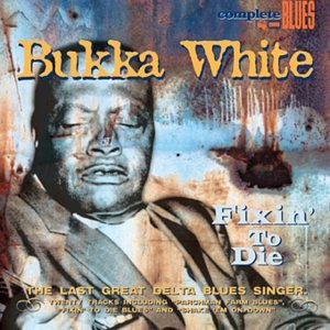 CD cover of Bukka White, a portrait with textured blue background.
