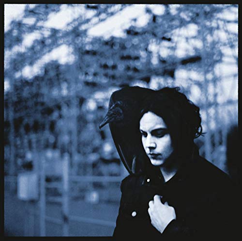 Blue-toned portrait of a person with a raven on their head.
