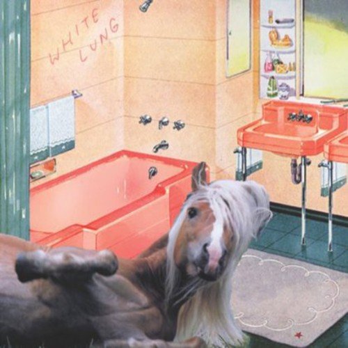 "Vinyl record cover featuring a horse in a bathroom with red fixtures."