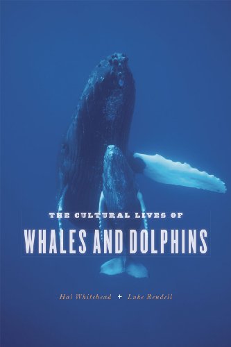 Book cover featuring a large whale and smaller whale underwater.