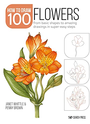 Book cover: orange lilies and step-by-step drawing instructions.