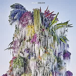 Wilco’s “Cousin” CD cover: colorful plants with dripping, white tendrils.