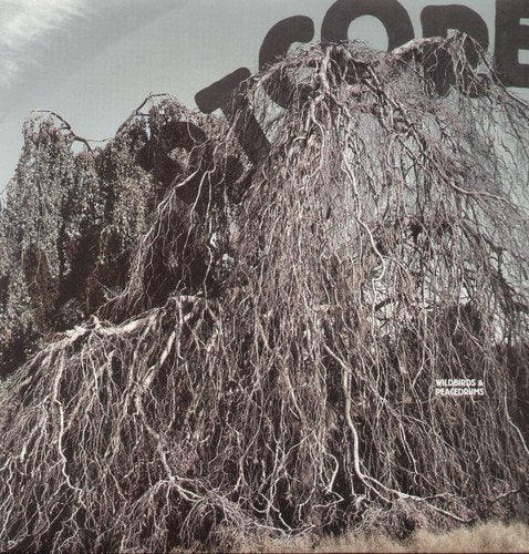 Vinyl album cover: grayscale image of a weeping tree.