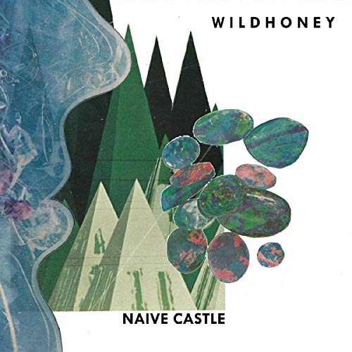 The image is a vinyl album cover featuring abstract shapes and text. Alt text: "Album cover with abstract shapes, 'Wildhoney' and 'Naive Castle' text."