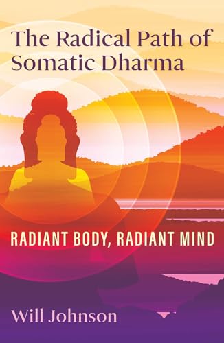 Book cover with silhouette of meditating figure against sunset landscape.