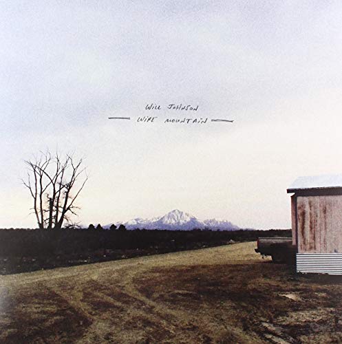 Album cover for Will Johnson’s “Wire Mountain” with a landscape scene.