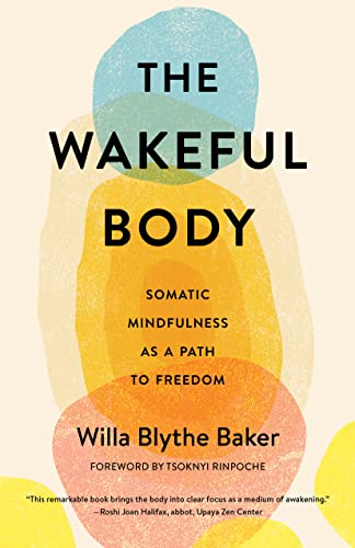 Book cover with abstract watercolor shapes and title "The Wakeful Body.