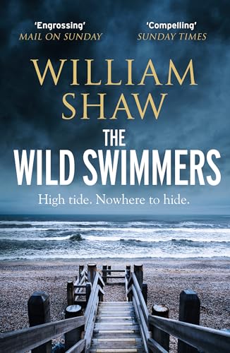 Book cover showing a wooden staircase leading to a beach under a stormy sky.