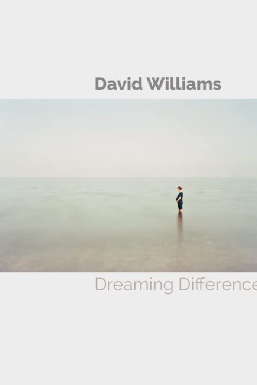 Book cover: lone figure on a vast, misty beach.
