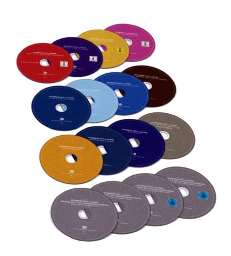 A collection of fifteen colorful Robbie Williams music discs arranged on a white background.