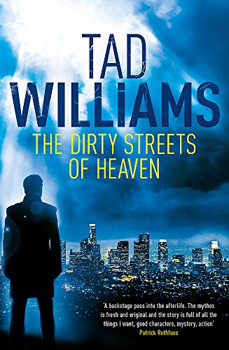Book cover: silhouetted figure overlooks a glowing cityscape under stormy skies.