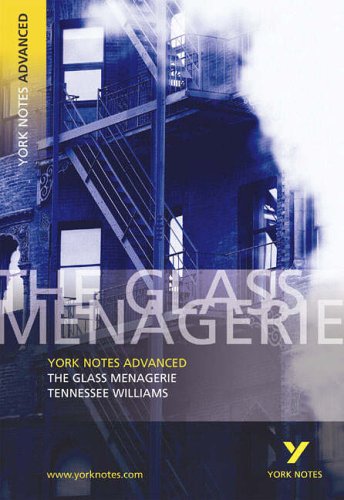 Cover of “The Glass Menagerie” York Notes Advanced, featuring a staircase.