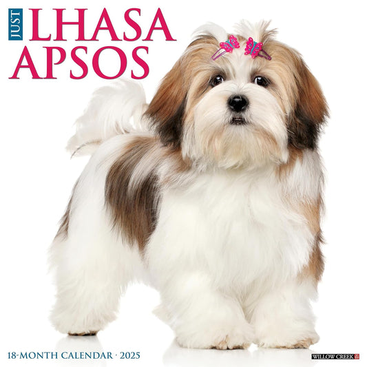 Fluffy Lhasa Apso dog with pink bows, calendar cover image.