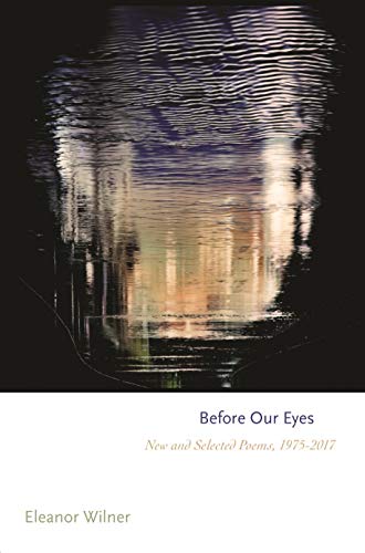 Book cover: abstract, blurred cityscape with title “Before Our Eyes” and author’s name.
