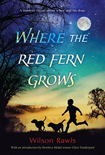Book cover showing a boy and two dogs running in silhouette against a night sky.