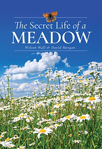 Book cover: meadow with daisies, butterfly, and blue sky.