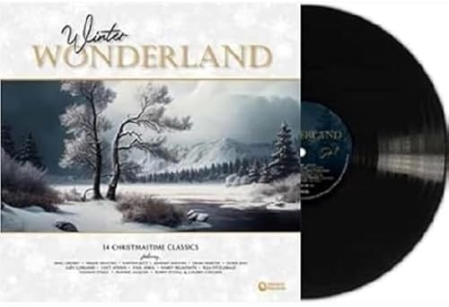 Vinyl record with snowy winter landscape album cover, titled "Winter Wonderland".