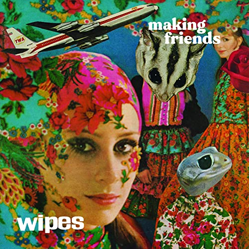 Collage album cover featuring a cat, plane, people, and a frog.