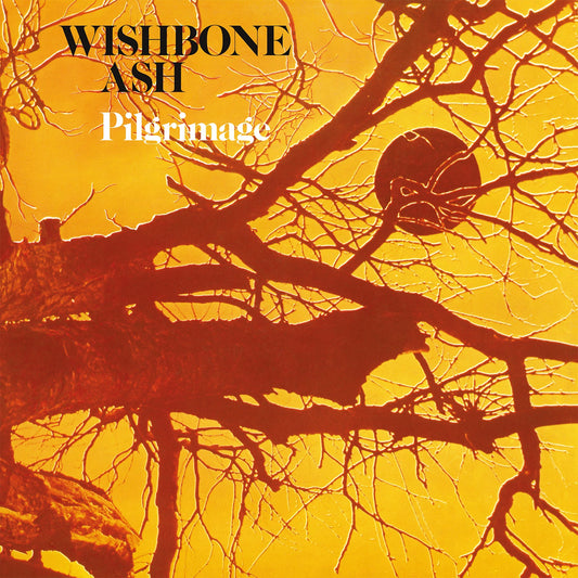 Vinyl record sleeve with artwork, containing 1 LP record, likely with Wishbone Ash logo.