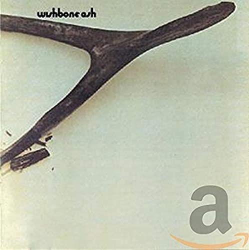 A dark wishbone-shaped branch on a light background with the text Wishbone Ash.