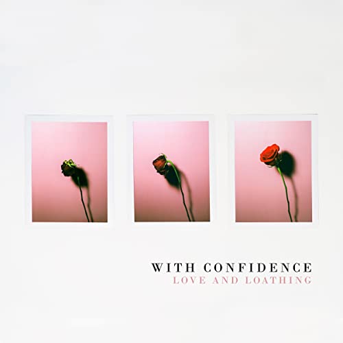 Album cover featuring three polaroids of a red rose against a pink background.