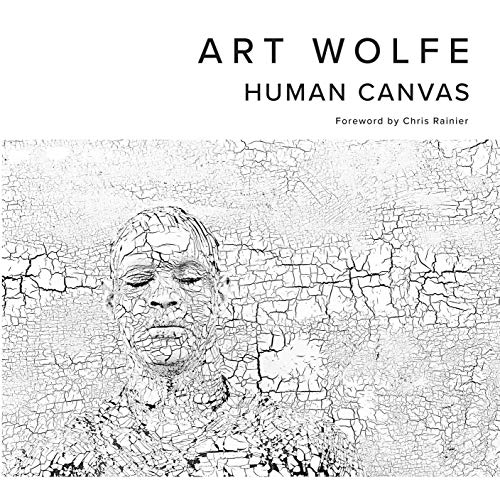 Black and white book cover featuring a cracked, textured portrait.