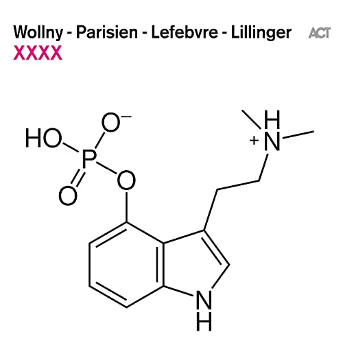 CD cover with abstract molecular diagram and band name "Wollny" etc.