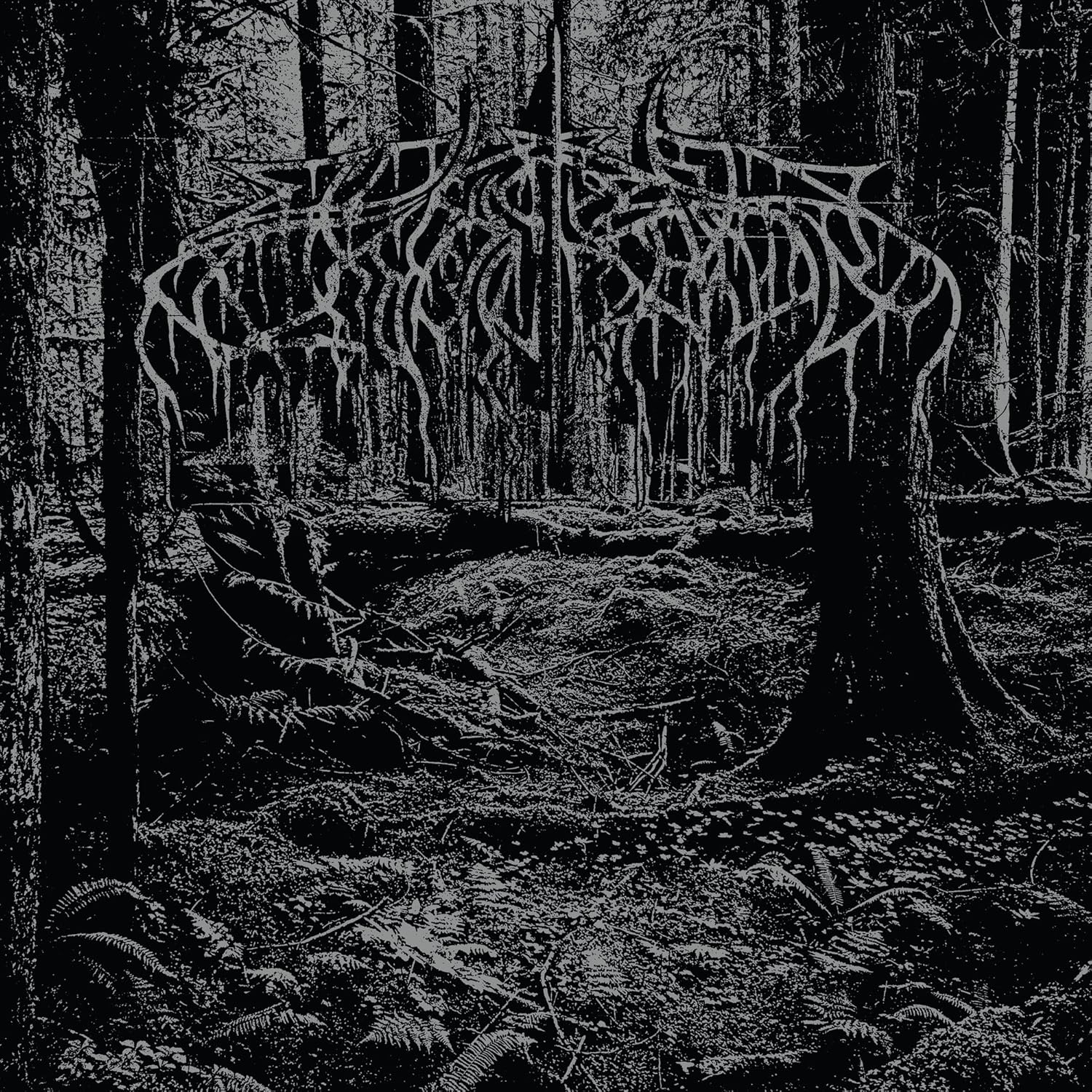 Black and white forest scene with ornate, spiky logo above.