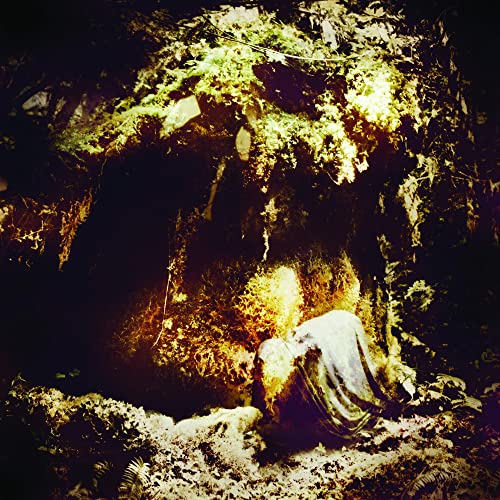 A cloaked figure kneels in a dark, mossy forest illuminated by golden light.