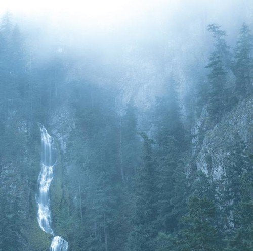 Fog-shrouded forest with a waterfall cascading down a rocky cliff.