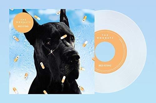 "Album cover featuring a black dog with band-aids against a blue background."