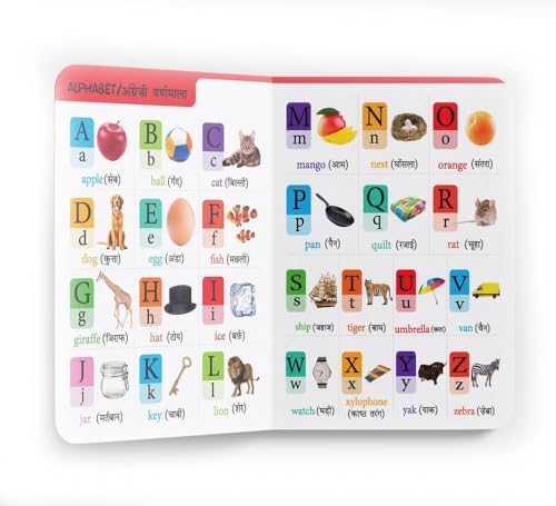 Open bilingual alphabet board book with colorful pictures and English/Hindi text.