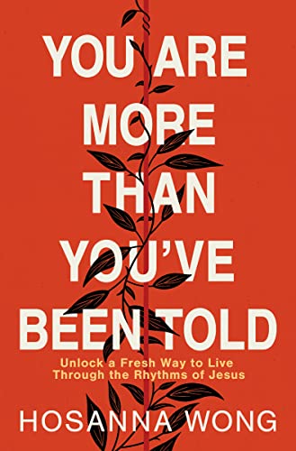 Book cover with white text on an orange background featuring a central vine illustration.