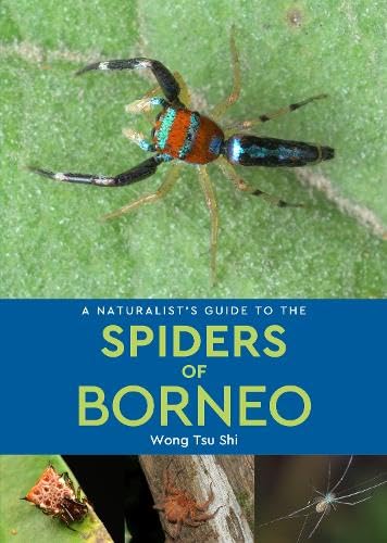 Book cover: colorful spider on green leaf, “Spiders of Borneo” title.