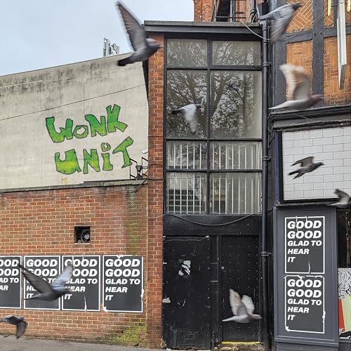 Brick building with graffiti reading "Wonk Unit" and flying pigeons.